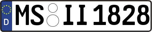 MS-II1828