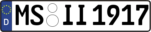 MS-II1917