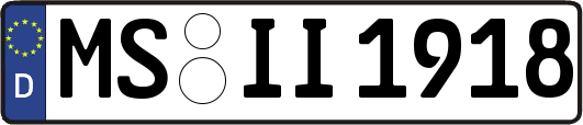 MS-II1918