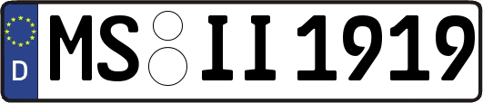 MS-II1919