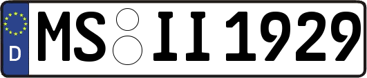 MS-II1929