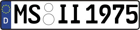 MS-II1975