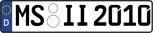 MS-II2010