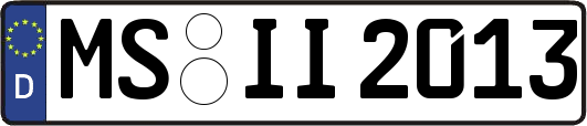 MS-II2013
