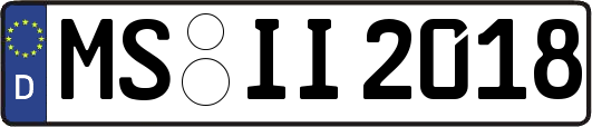 MS-II2018