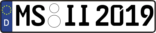 MS-II2019