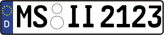 MS-II2123