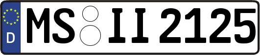 MS-II2125