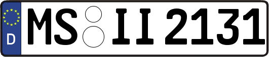 MS-II2131