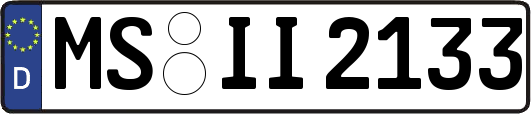 MS-II2133
