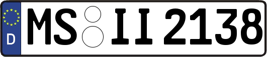 MS-II2138