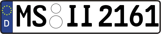 MS-II2161