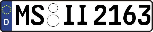 MS-II2163