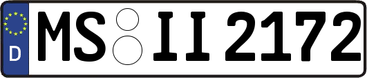 MS-II2172