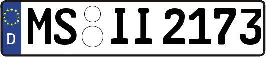 MS-II2173