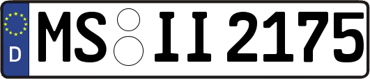 MS-II2175