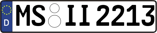 MS-II2213
