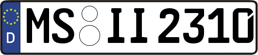 MS-II2310