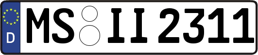 MS-II2311