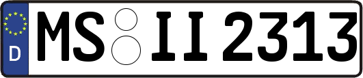 MS-II2313