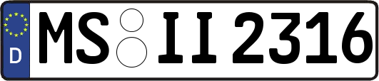 MS-II2316