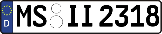 MS-II2318