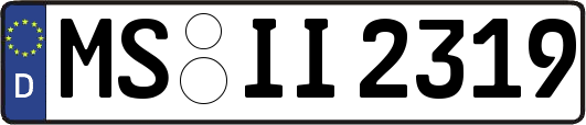 MS-II2319