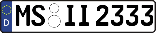 MS-II2333
