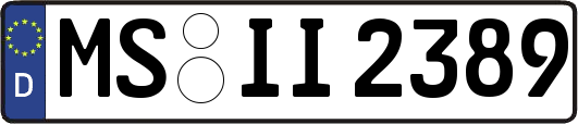MS-II2389