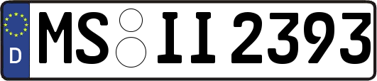 MS-II2393