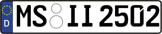 MS-II2502