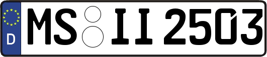 MS-II2503