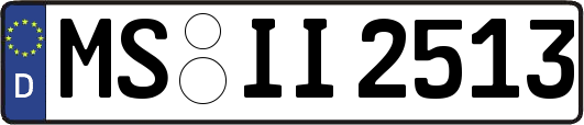 MS-II2513