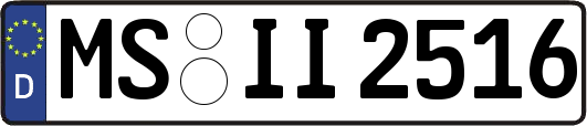 MS-II2516