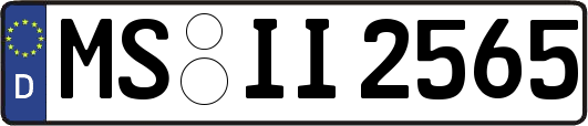 MS-II2565