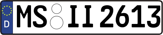 MS-II2613