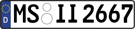 MS-II2667