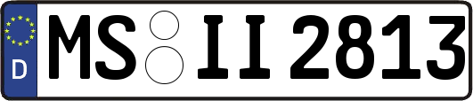 MS-II2813