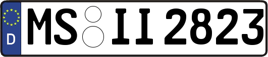 MS-II2823