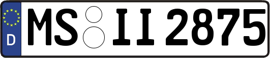 MS-II2875