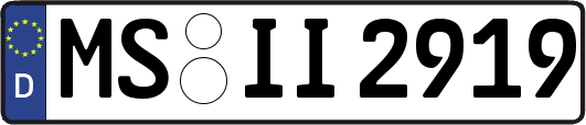 MS-II2919