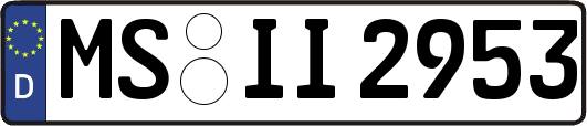 MS-II2953