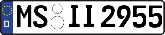 MS-II2955