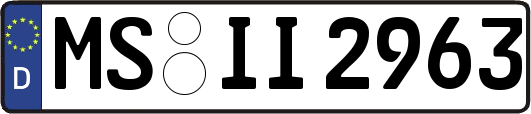 MS-II2963