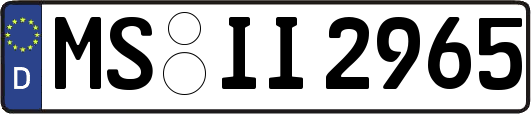 MS-II2965