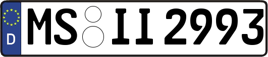 MS-II2993