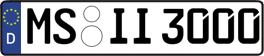 MS-II3000