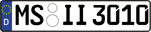 MS-II3010