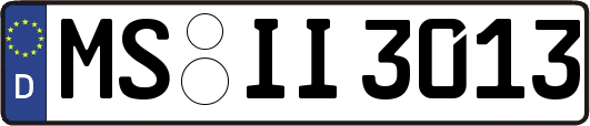MS-II3013