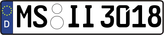 MS-II3018